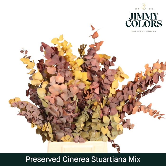 <h4>Preserved Cinerea Autumn Mix</h4>