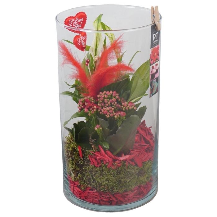 <h4>Arr.    Planten  L%</h4>