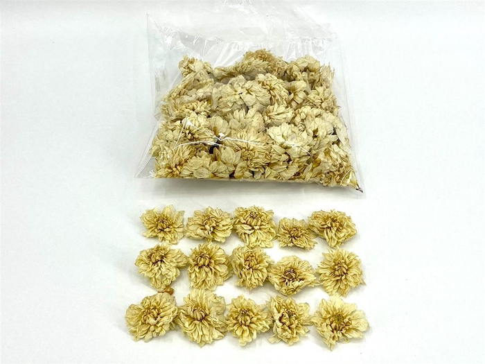 Dried Dahlia Heads White Bag (50-60 Heads)