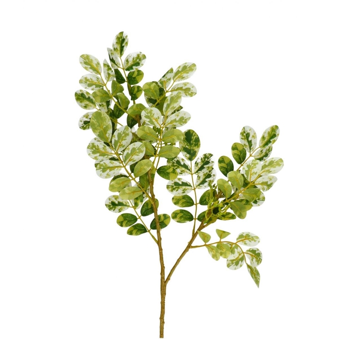 <h4>Artificial flowers Ficus 70cm</h4>