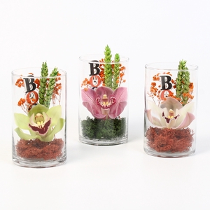 CYMB VERPAKT P BLOEM 1019