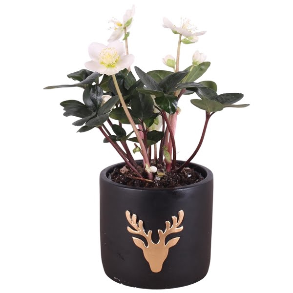 <h4>Christmas Arr.Outdoor Ceramic Pot round reindeer black ø14cm 1PP</h4>