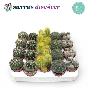 Sierra's® - Granada Cactus Mix (Prime)