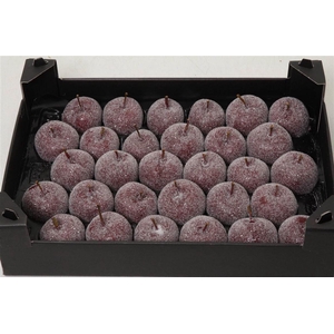 Appel (wax+gl) X30 Bordeaux