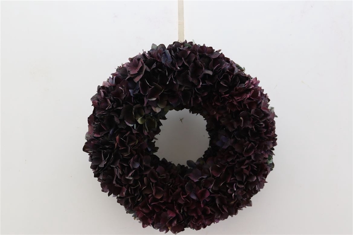 <h4>Wr Hydrangea Chocolate 35cm</h4>