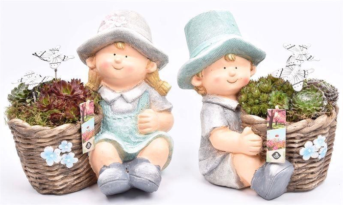 <h4>Arr.  Sempervivum L%</h4>