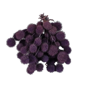 Small ball per bunch in poly Frosted Milka