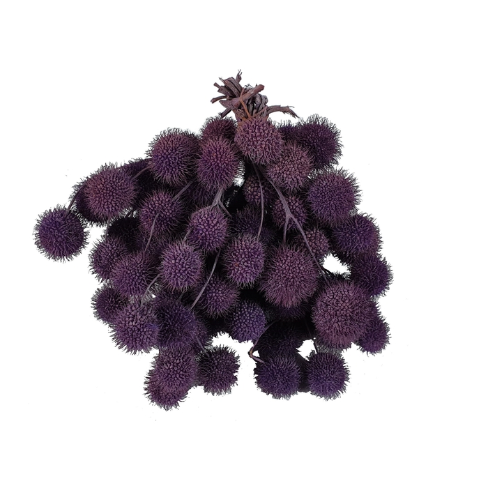 <h4>Small ball per bunch in poly Frosted Milka</h4>