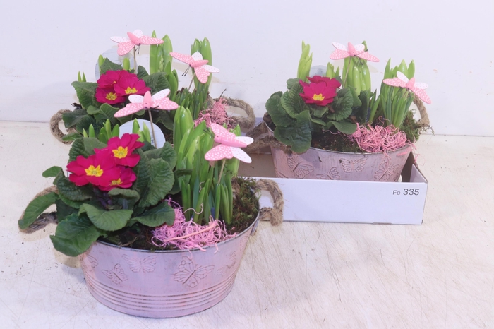 <h4>ARR TUINPLANTEN</h4>