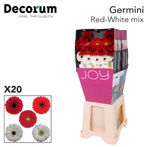 Germini Mix Rood Wit Diamond Per Kaart