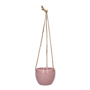 DF03-710164304 - Pot Keva d7.6/8.3xh7 mauve