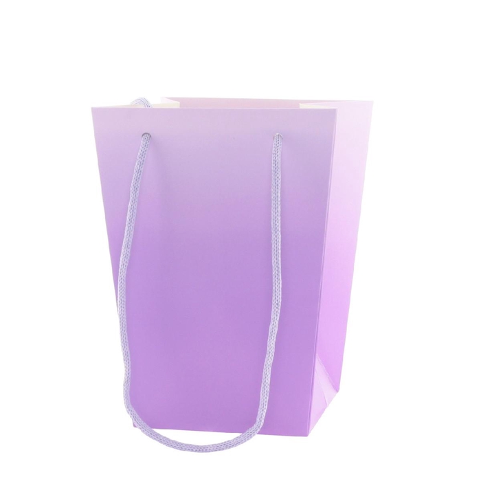 <h4>Bags Noor 15/15*11/11*20cm</h4>