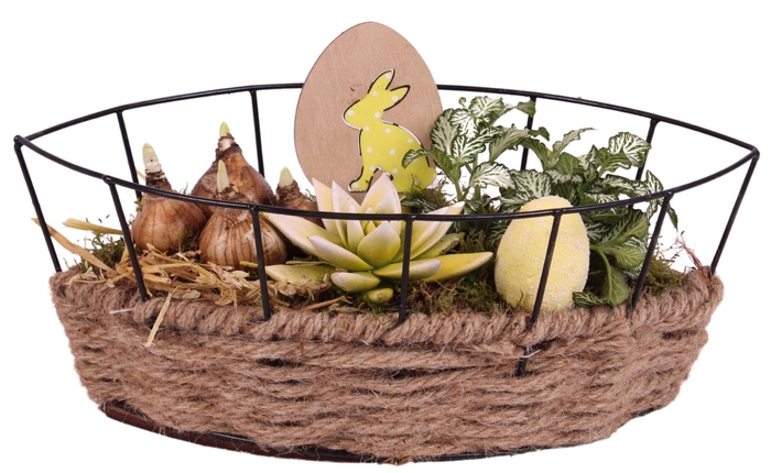 <h4>Easter Arr. Indoor Metal Frame Rope pot Boat Ø31cm 4PP</h4>