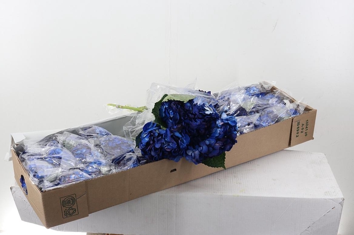 <h4>Hydr Dark Blue Tinted Select Box</h4>