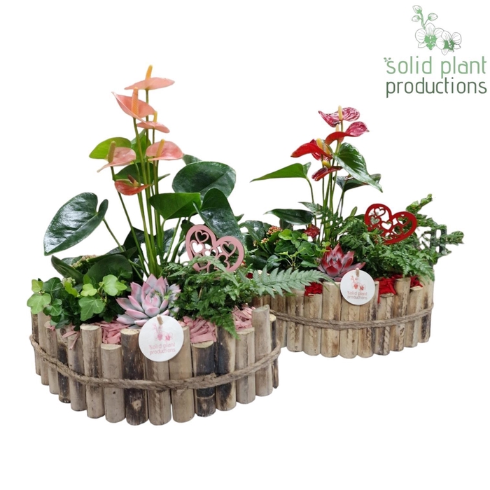 <h4>HVAE006 Napoli Large Red/Pink Mix</h4>