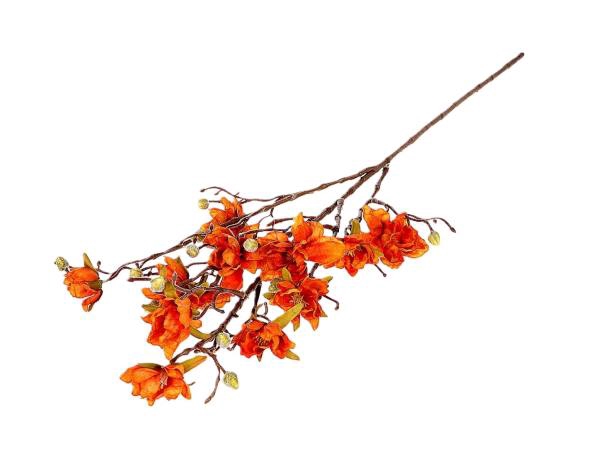 <h4>BRANCH MAGNOLIA GRANDI L88 orange</h4>