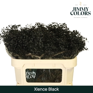 Gyps Xlence l70 Black