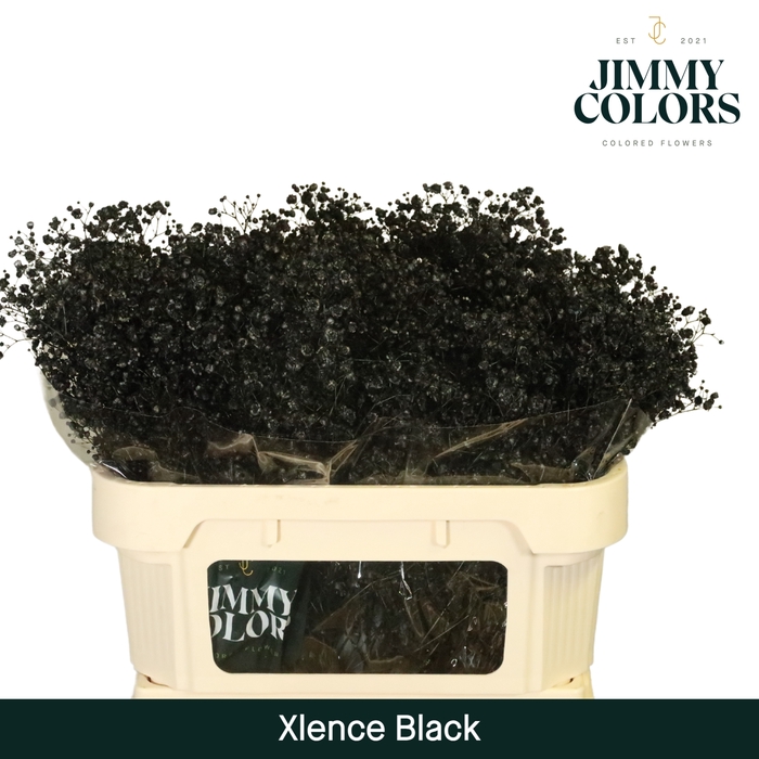 <h4>Gyps Xlence l70 Black</h4>