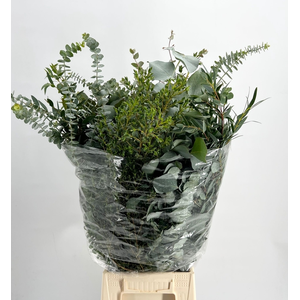 EUCALYPTUS MIX 300GR