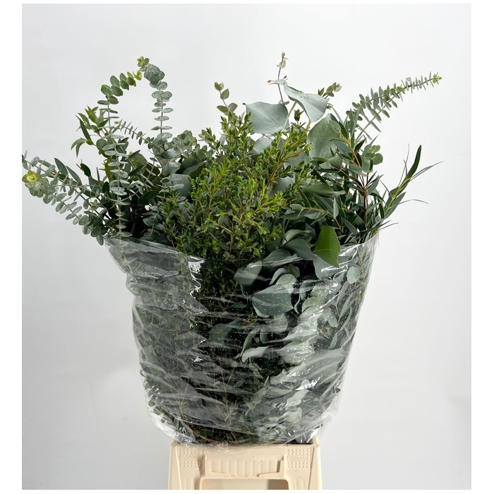 <h4>EUCALYPTUS MIX 300GR</h4>