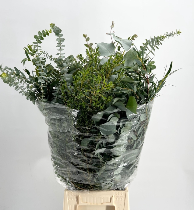 <h4>EUC. MIX 300GR</h4>