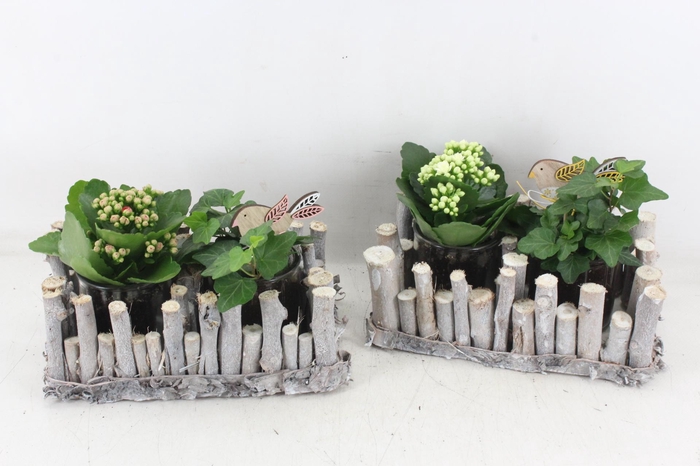 <h4>arr2 MB - Hout takjes rechth. roze/wit</h4>