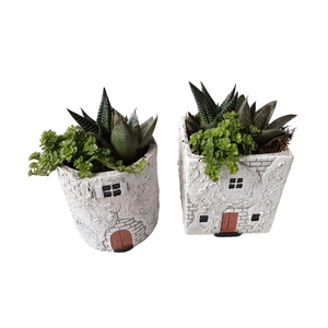 Arr.   Kamerplant Groen L%