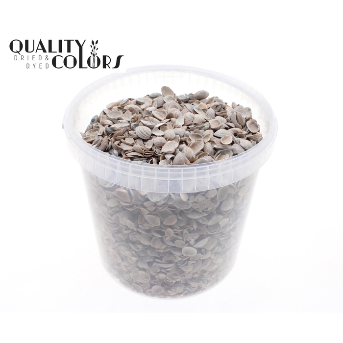 <h4>Shells north sea 10 ltr Frosted White</h4>