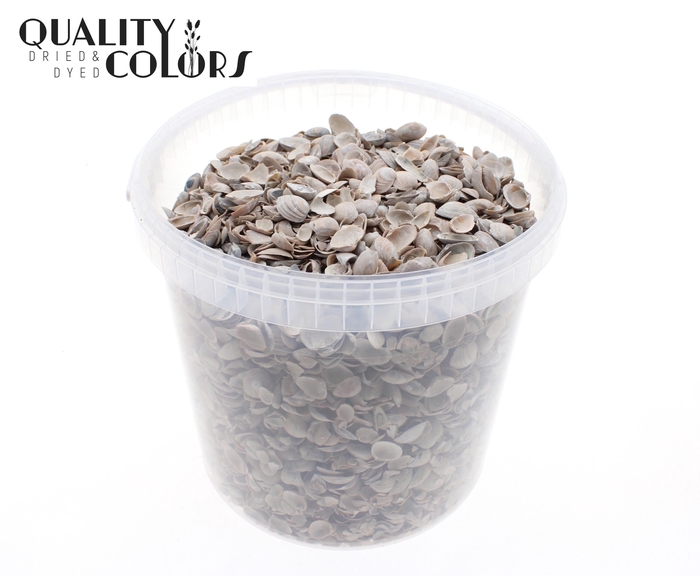 Shells north sea 10 ltr Frosted White