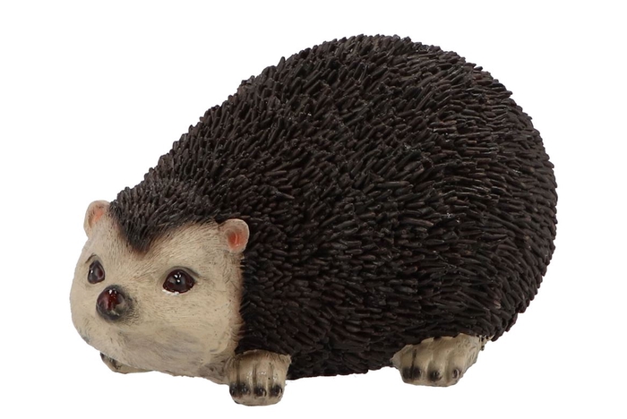 <h4>Hedgehog Poly Xl 22x14x13cm Nm</h4>