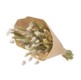 <h4>Bouquet 50cm Helsinki nat.white</h4>