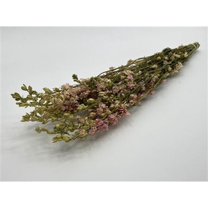 Dried Delphinium Pink Extra Bunch