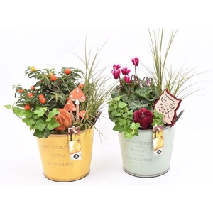 Zink pot mix ge/gr met oren 17cm