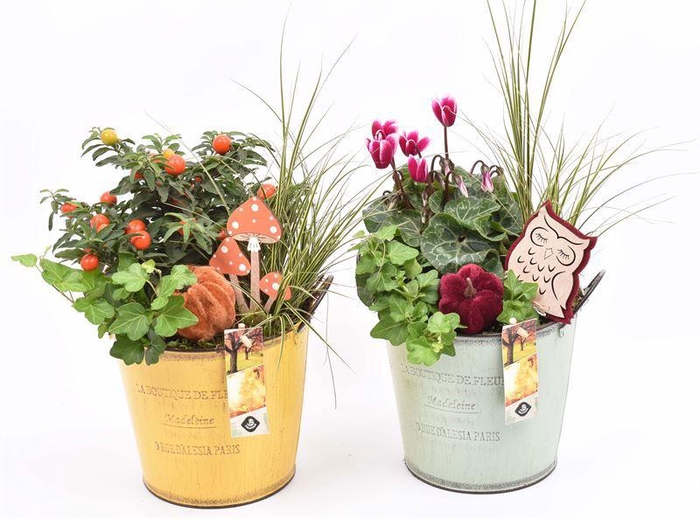 <h4>Zink pot mix ge/gr met oren 17cm</h4>