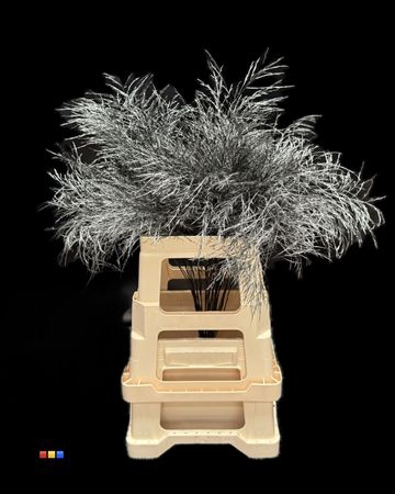 Treefern Metallic Black