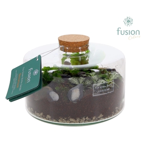 Green Bottle Kyra Medium met Terrarium arrangement