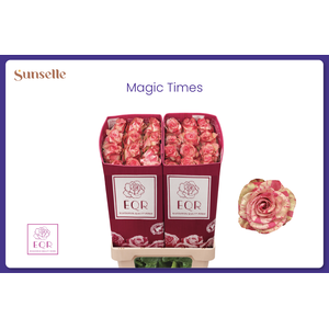 R GR PINK MAGIC TIMES