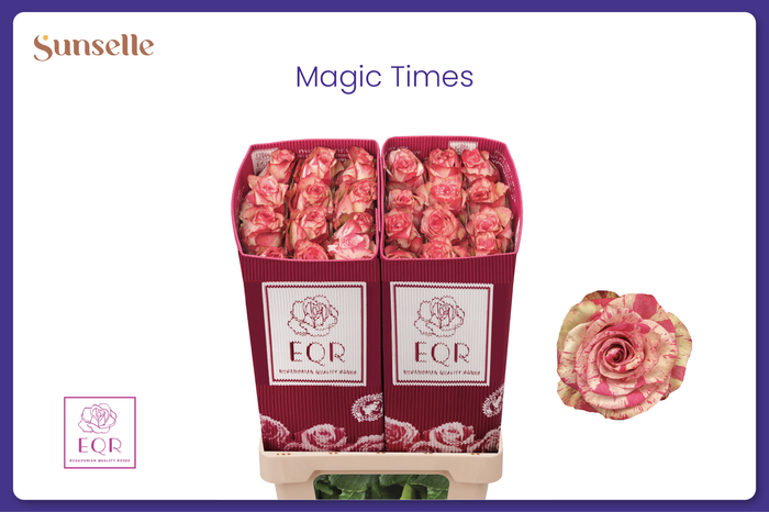 R GR PINK MAGIC TIMES