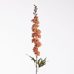 AF Delph Dried L85cm Peach