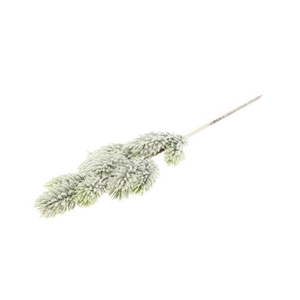 Branch Nobilis L45W15H5