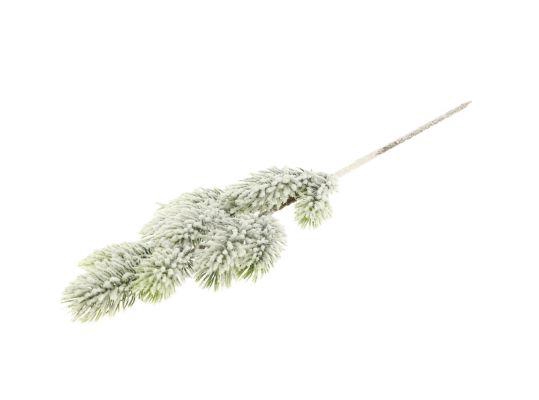 Branch Nobilis L45W15H5