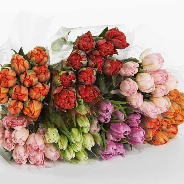 <h4>Tulpes Pilnavidures Mix LT</h4>