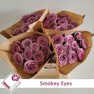 ROSA GR 'SMOKEY EYES'