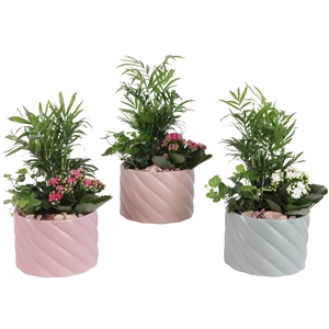 Yearround Arr. Indoor Ceramic Soft Elegance SE661 Ø17cm 3PP