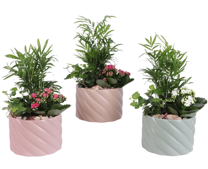 <h4>Yearround Arr. Indoor Ceramic Soft Elegance SE661 Ø17cm 3PP</h4>