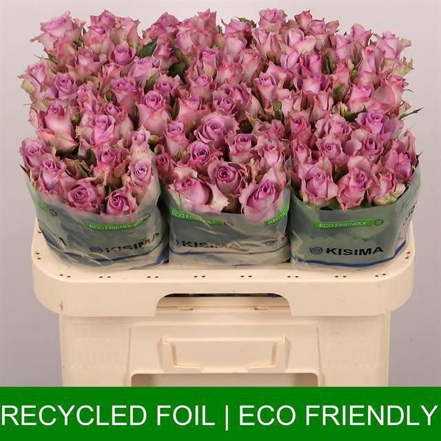 <h4>R GR NIGHTINGALE!</h4>