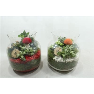 3317 CANDY JARDIN ROOD/WIT