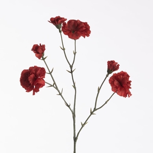 AF Dianthus x6 L56cm Red
