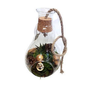 Arr.   Kamerplant Groen H%