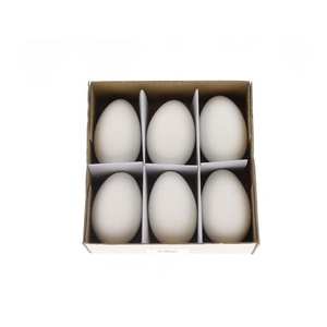 Egg Goose Xl White Box (6 Pcs)